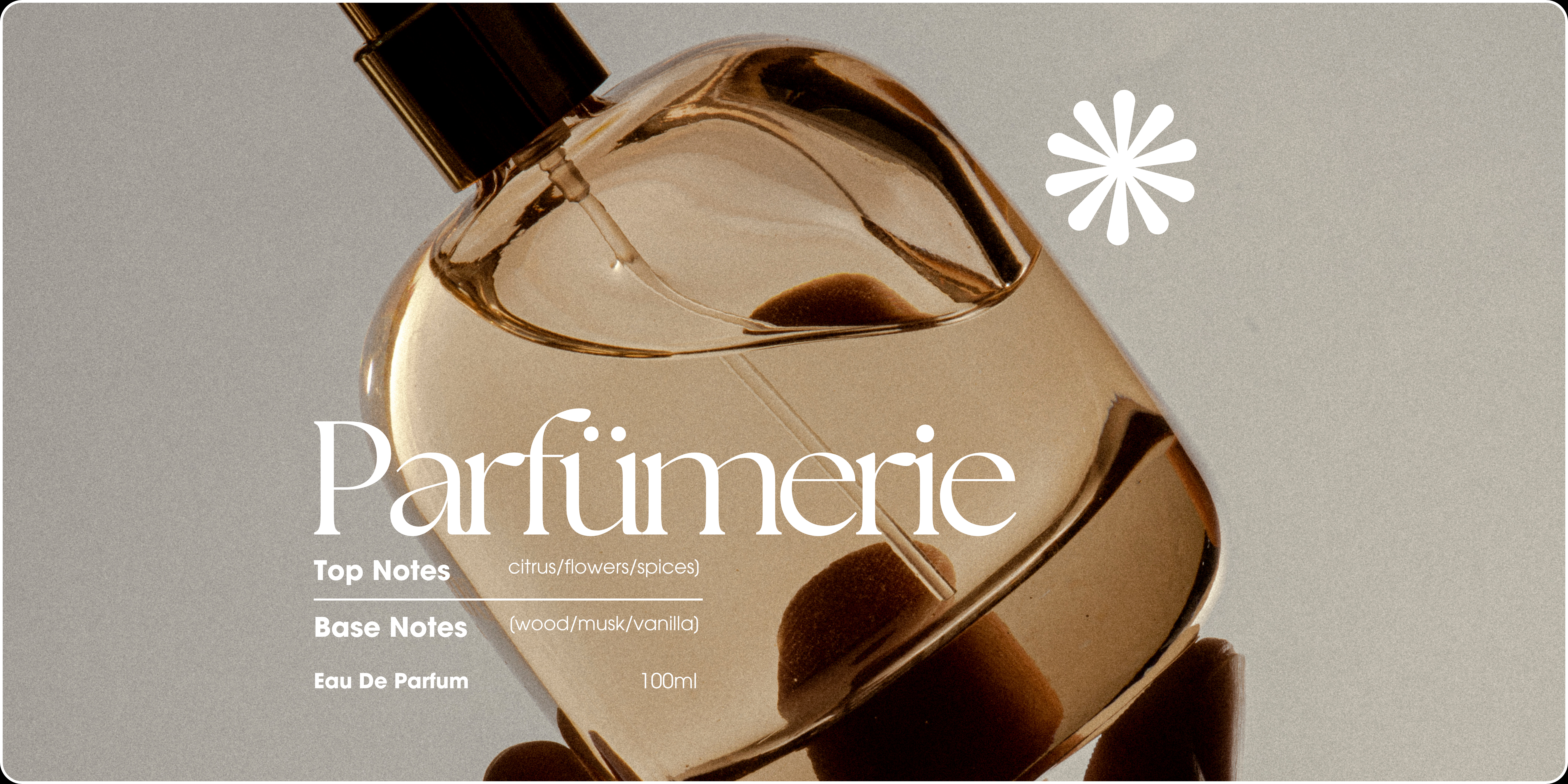 Premium Webdesign Konzept